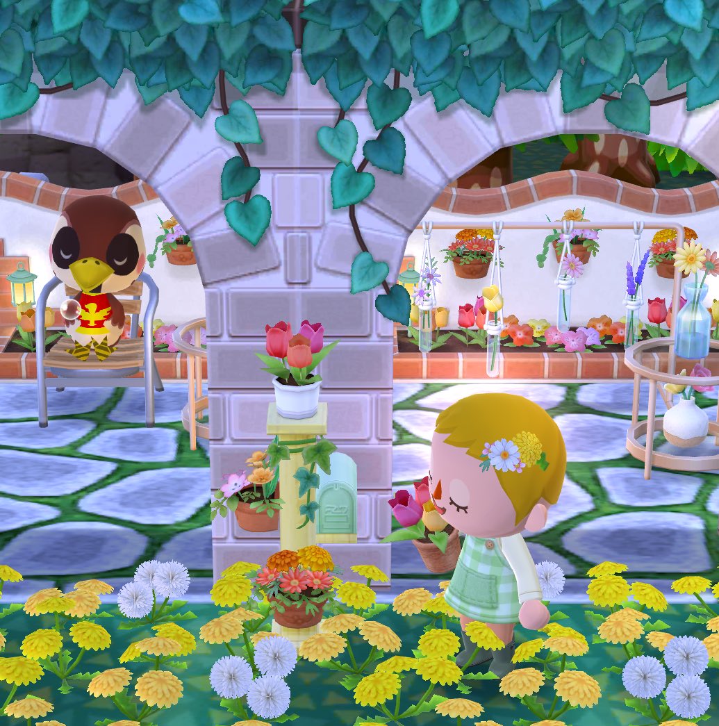 de2kohaku's tweet photo. 春のお花がたくさん🌼 https://t.co/thREnEwG6f