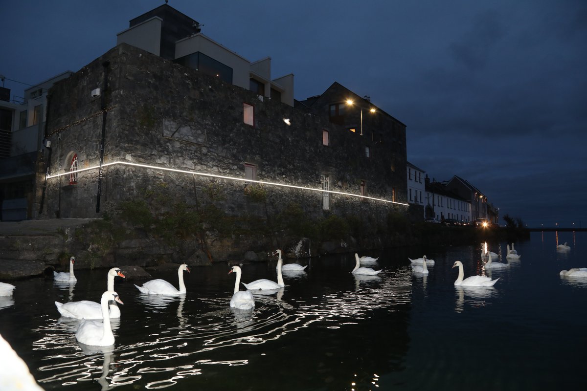 Galway City Museum (@galwaymuseum) on Twitter photo ILLUSTRATED TALK: Sea-Level Change & Línte na Farraige | Saturday 25 March at 2.30pm
Join scientist Dr Zoë Roseby of Trinity College, Dublin, who was involved in the Línte na Farraige project, as she discusses Irish sea-level change with reference to Galway. <a href="/lintenafarraige/">Línte na Farraige</a> ILLUSTRATED TALK: Sea-Level Change & Línte na Farraige | Saturday 25 March at 2.30pm
Join scientist Dr Zoë Roseby of Trinity College, Dublin, who was involved in the Línte na Farraige project, as she discusses Irish sea-level change with reference to Galway. <a href="/lintenafarraige/">Línte na Farraige</a>