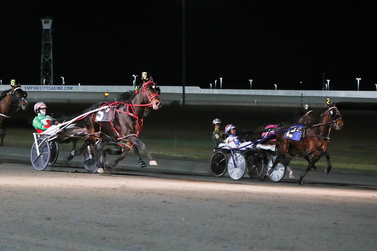 Yonkers Raceway on Twitter "Down under transplants had a big night on