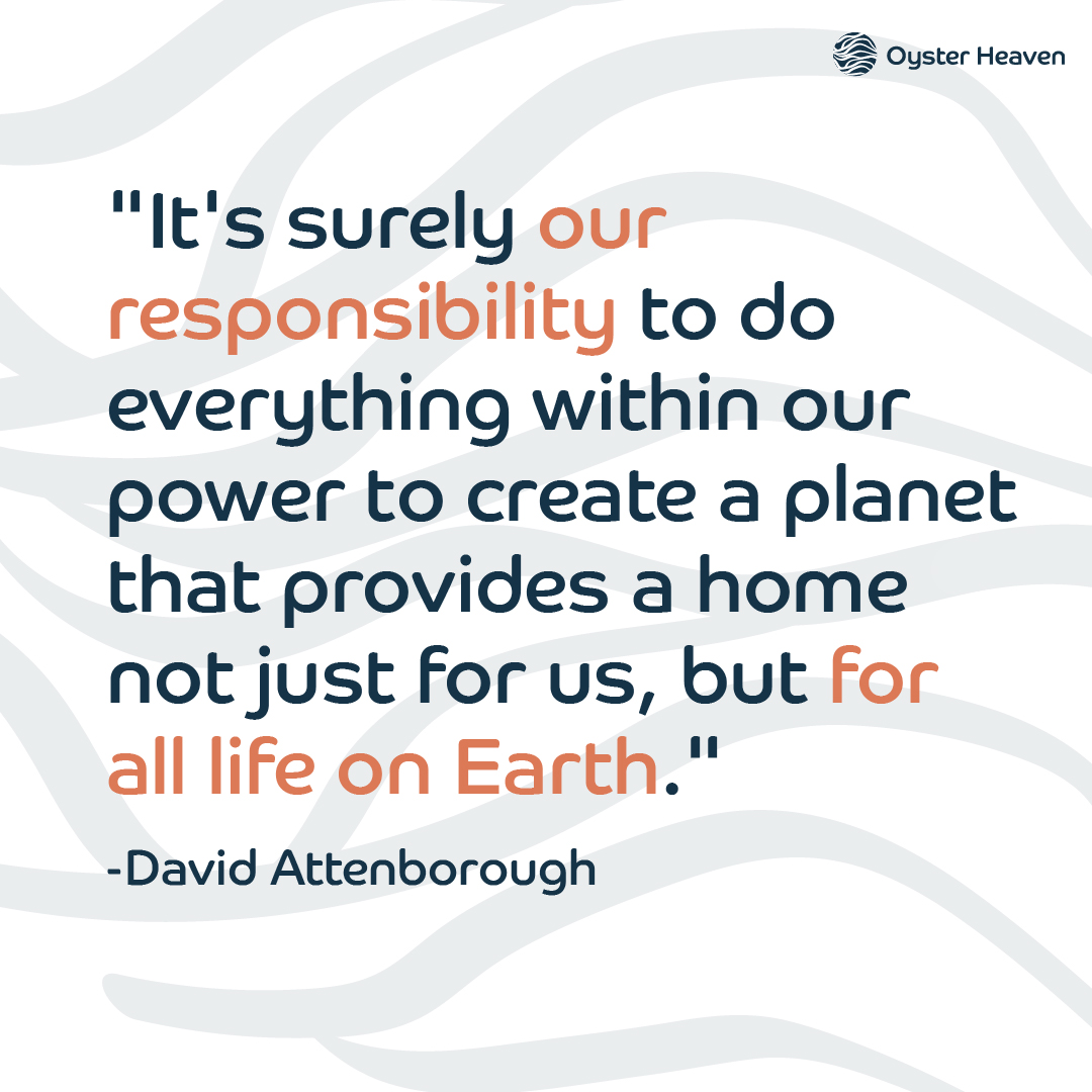 We couldn’t agree more with these words from Sir David Attenborough.

🦪⁠

#AllLifeOnEarth #DavidAttenborough #planetearth #sustainability #earth #marinerestoration #oysters