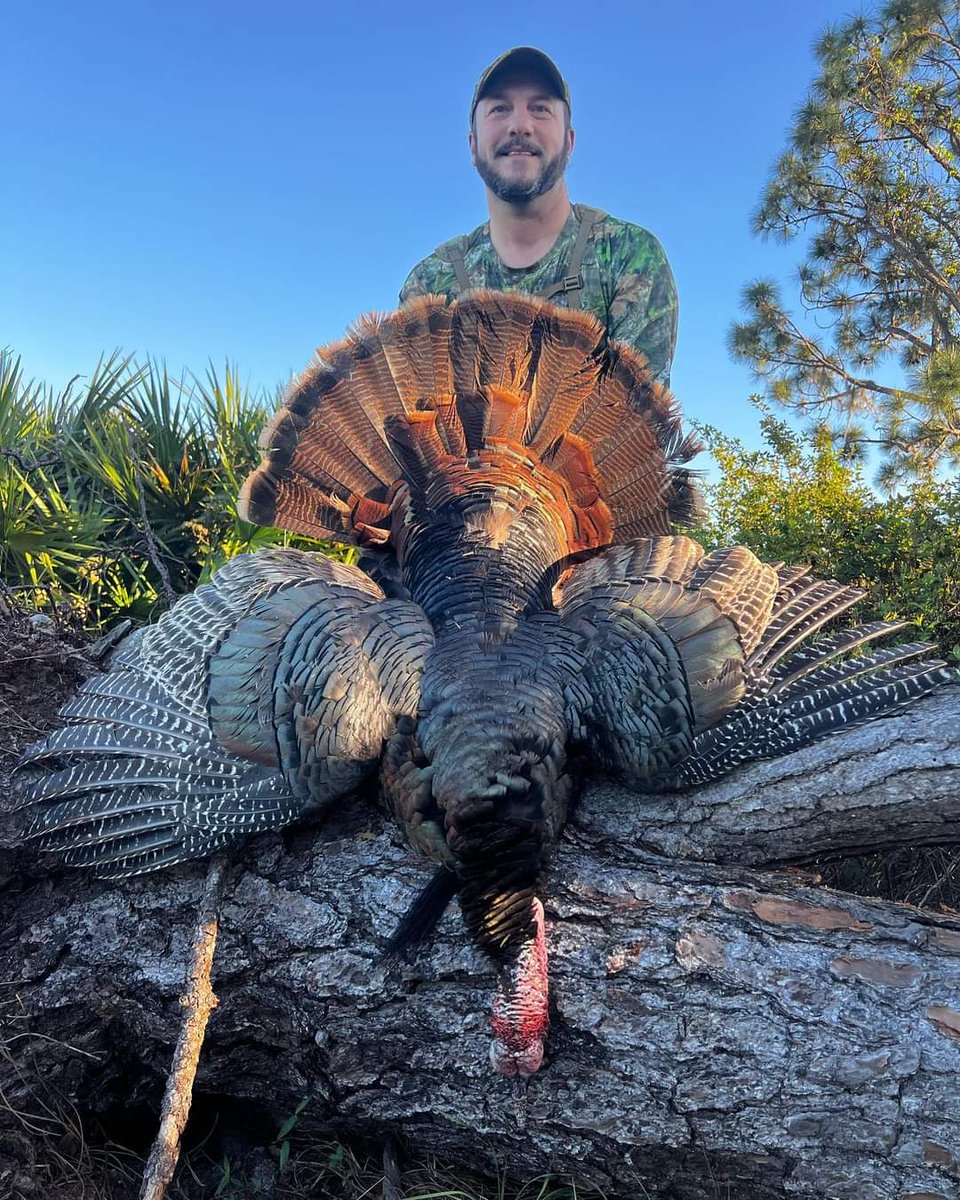 Jason Kitzmiller gets it done first afternoon of his hunt.  @osceolaoutdoors #apex_ammunition #mossyoak #nomadoutdoor