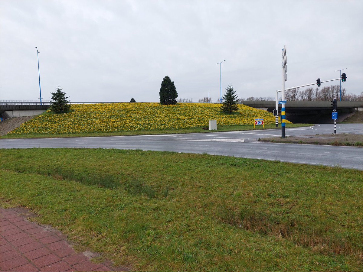 ecoloog079 tweet media