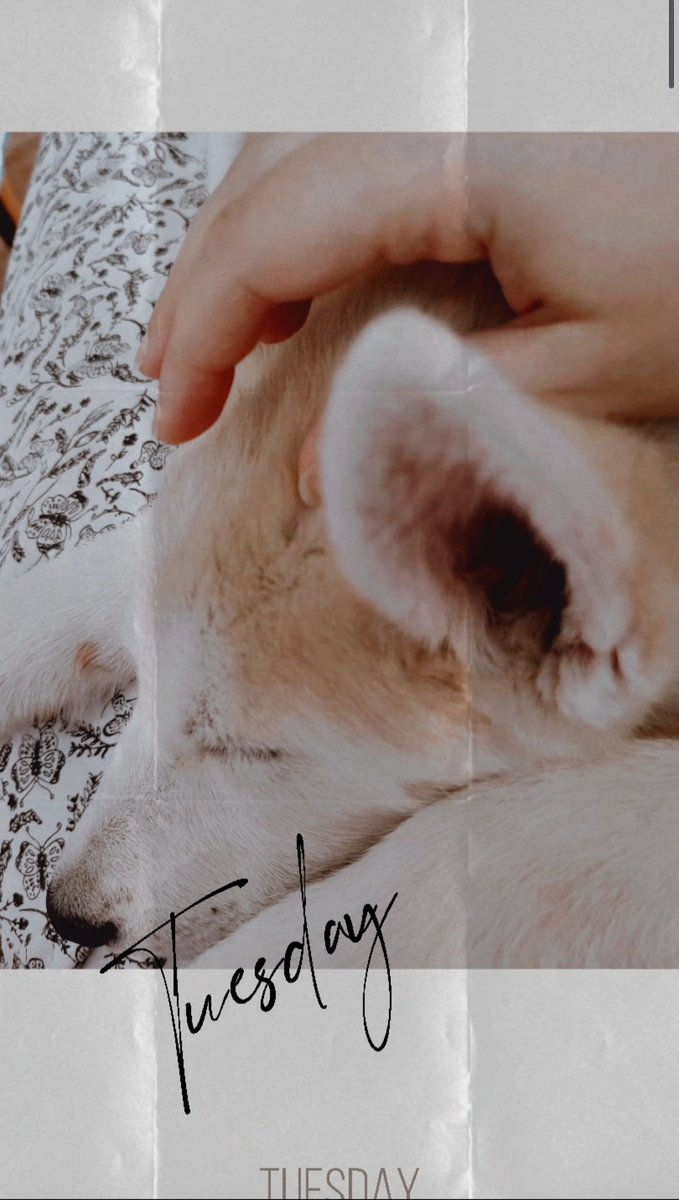 estherconh_ tweet media