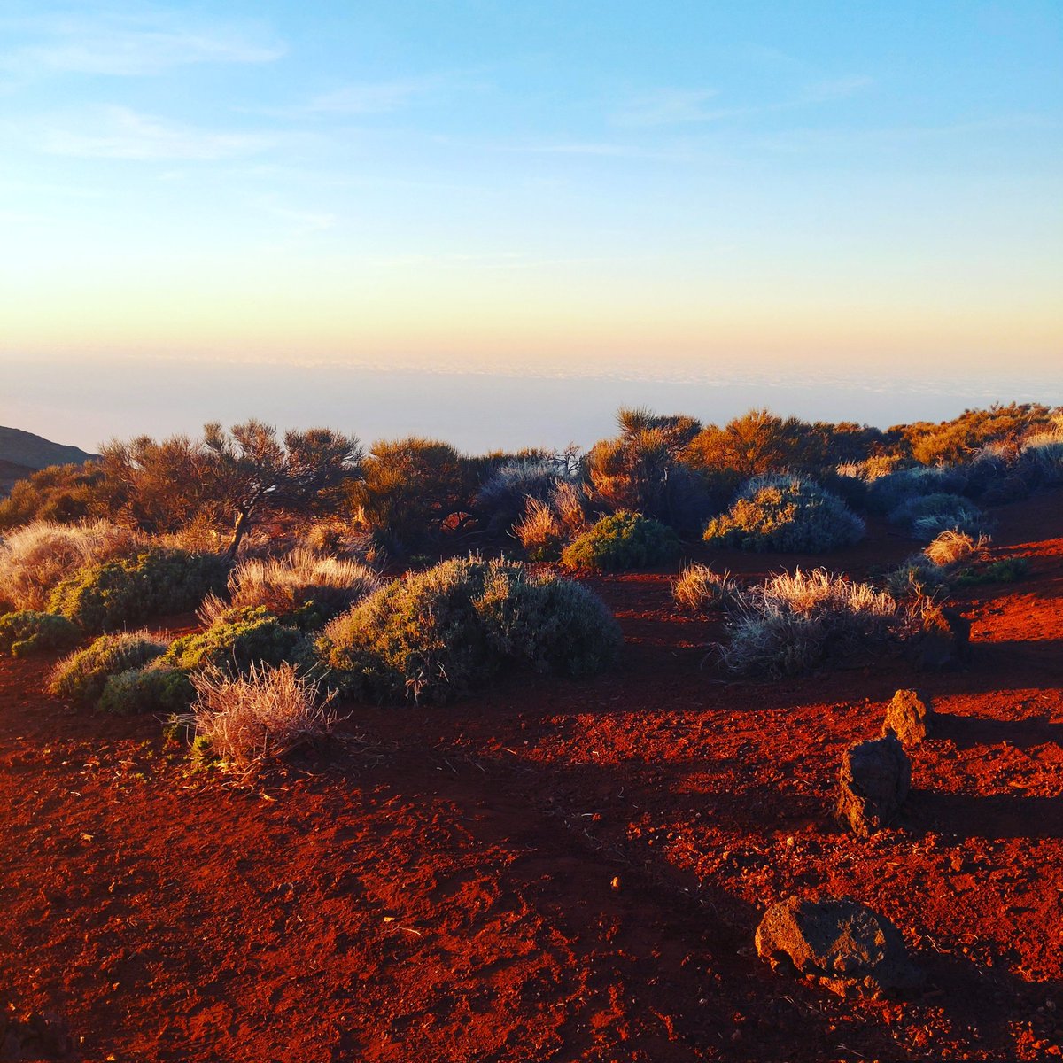 holmeou's tweet photo. Back from my Tenerife holidays. Teide was beautiful during the sunset. Got also some great ideas for some itineraries for travel businesses...

#teide #tuesdayvibe #holiday #backtoreality #businessgrowth https://t.co/O2g7p9SeeM