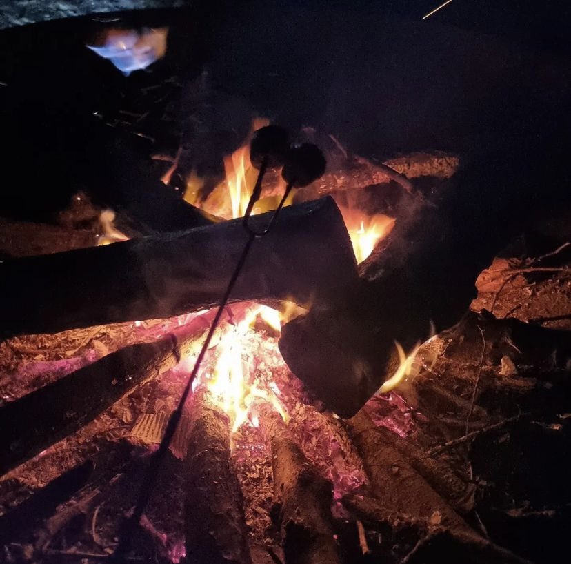 Marvels Lane Primary School tweet media