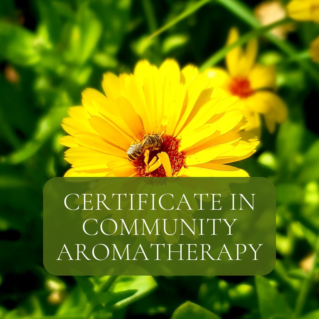 sedonaaroma's tweet photo. NEW! Aromatherapy Certification How You Want It 🌿 - https://t.co/1ds7b8LL0O our new Certificate in Community Aromatherapy - designed on your terms! #aromatherapy #aromatherapycertification #aromatherapycourses #aromas #scent #eclasses #essentialoils #aromatherapist https://t.co/OVcQGlovnQ