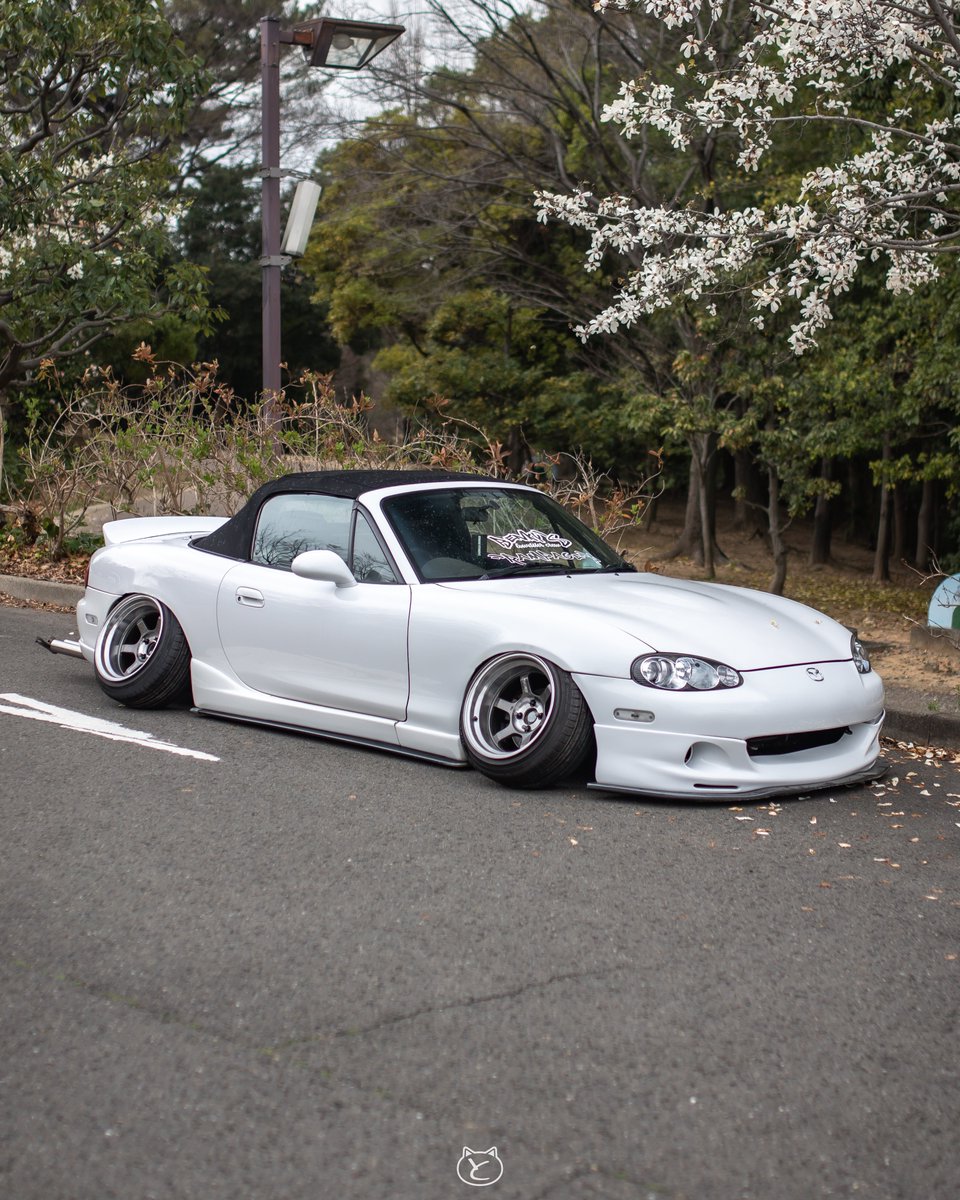 tomocat_works's tweet photo. 復活の儀からのにゅーほいーる🫶

TE37V SL 1920 LIMITED 10J-25

一応スペアという概念だけどクラックとガリ傷付くの怖いから盆栽仕様で🫠

#Benkys 
#RAMPAGE 
#これが俺のRAYS
#ロードスター乗りと繋がろう2023春 https://t.co/Q9YjFxS5il