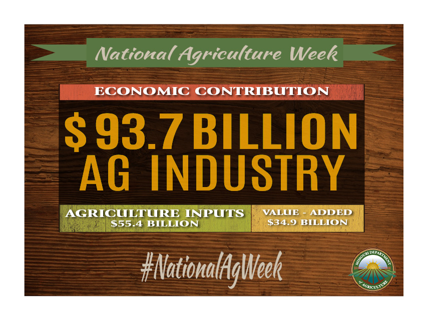 MoAgriculture's tweet image. Agriculture is Missouri's top economic driver! 

As we recognize #NationalAgDay, we applaud Missouri farmers and ranchers for their efforts to keep the #MoAg industry thriving.

#growMore