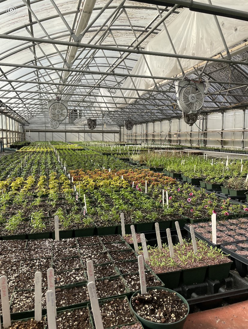 AndreaVaz1006's tweet photo. 🌸🌻 How fitting that on the first day of spring, our Autism students get a chance to work in the Greenhouse Program with Untermeyer Gardens! Such a wonderful and fulfilling hands-on experience for all! 🌼🌷@a_dechent @YonkersSchools #GreenhouseProgram #UtermeyerGardens #RHS https://t.co/vFWh45Ewbt