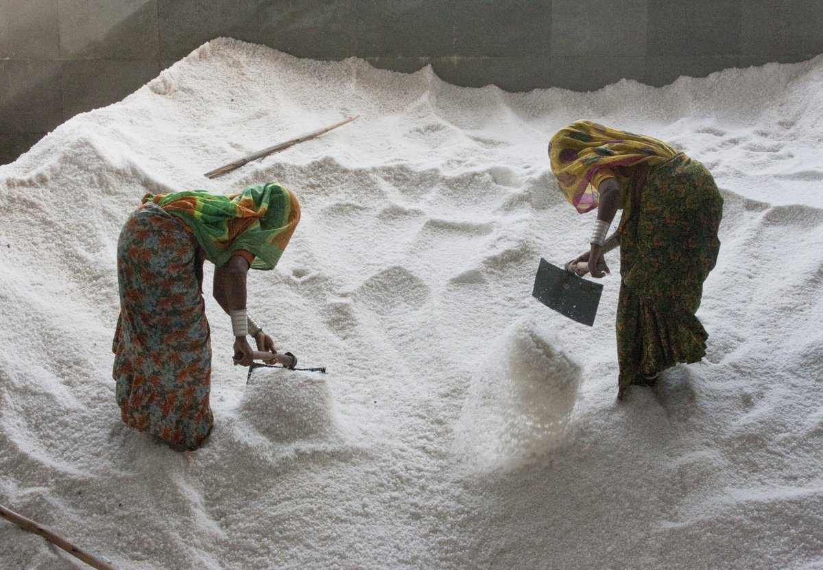 NutritionIntl's tweet photo. #DYK Iodine consumption is critical for pregnant women and children to ensure full brain development? Nutrition International works with salt producers around the world to expand and speed up the adoption of #UniversalSaltIodization.
https://t.co/iMqtzwz9r9 https://t.co/J42mR680yD
