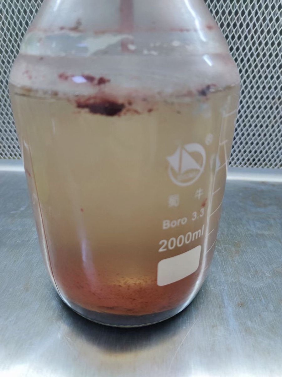 niles5's tweet photo. Astaxanthin is produced in Haematococcus pluvialis cells.
#astaxanthin
#haematococcus https://t.co/nb1tm2rjQ4