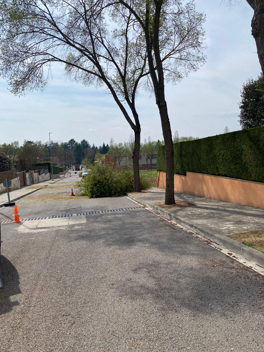 cfitverd's tweet photo. L'@aj_SJV torna a tirar pel dret i talla els arbres del carrer Calldetenes. Sense notificar-ho als (deu?) veïns afectats. Resulta que han fet una notícia, on ni tan sols s'especificava el tram, i au ja n'hi ha prou!  1/3 https://t.co/hiSY00o3Tn