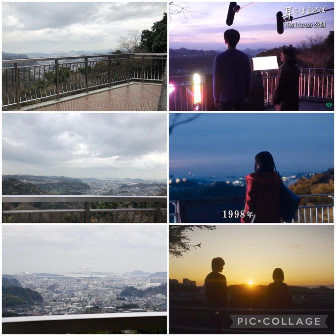 #耳をすませば🎻ロケ地巡りin横浜・金沢動物園🐘②日の出🌅に誓い合うあの丘（有料エリア）3年前の撮影時と同じ頃🌸あんな素