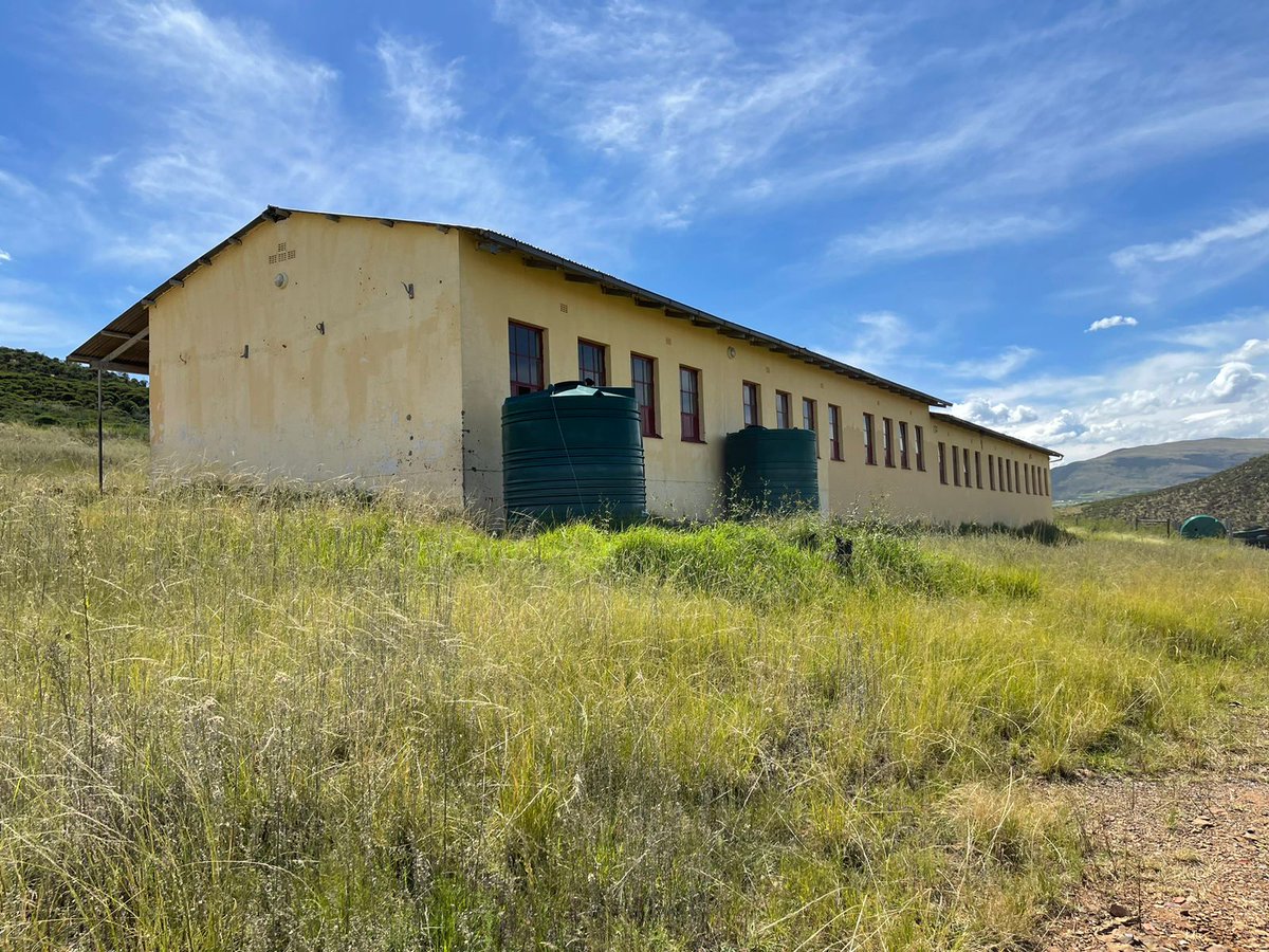 Democratic Alliance tweet media