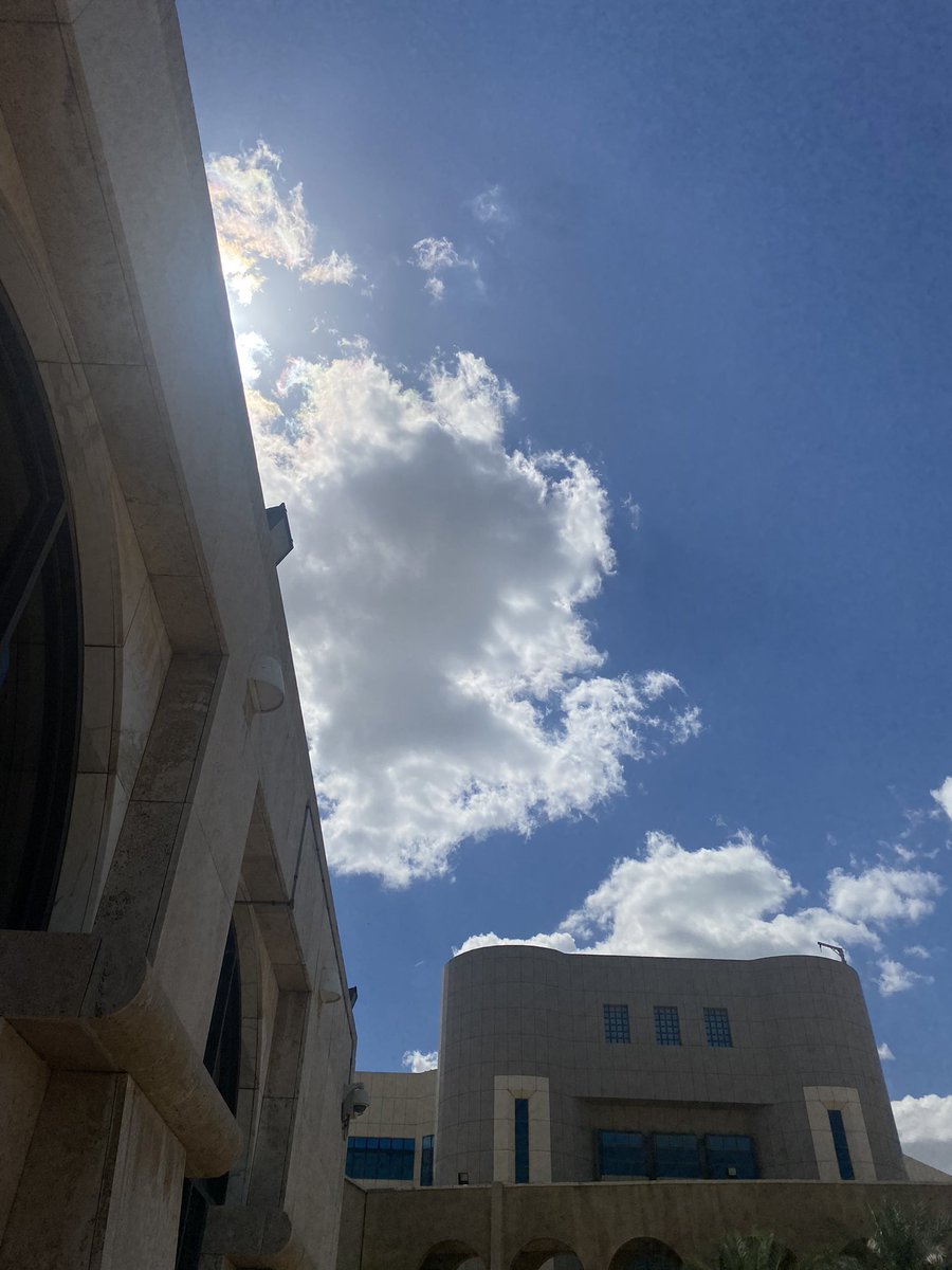 مُـتَـشـائِـل ♡ tweet media