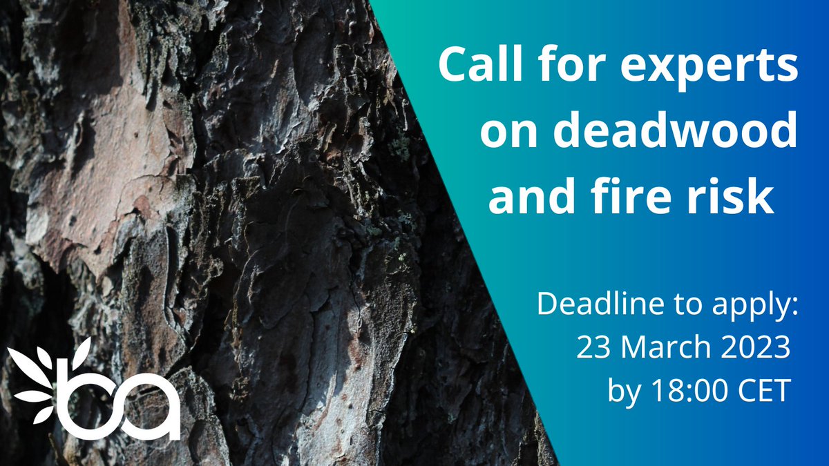 📢 BioAgora is calling for experts! 
On this #IntlForestDay 🌲, BioAgora invites experts to join a fast request expert group to understand the state of knowledge on #deadwood and #fire risk 🪵
Learn more &amp; apply on the BioAgora website 👉 bit.ly/3TtY6bm