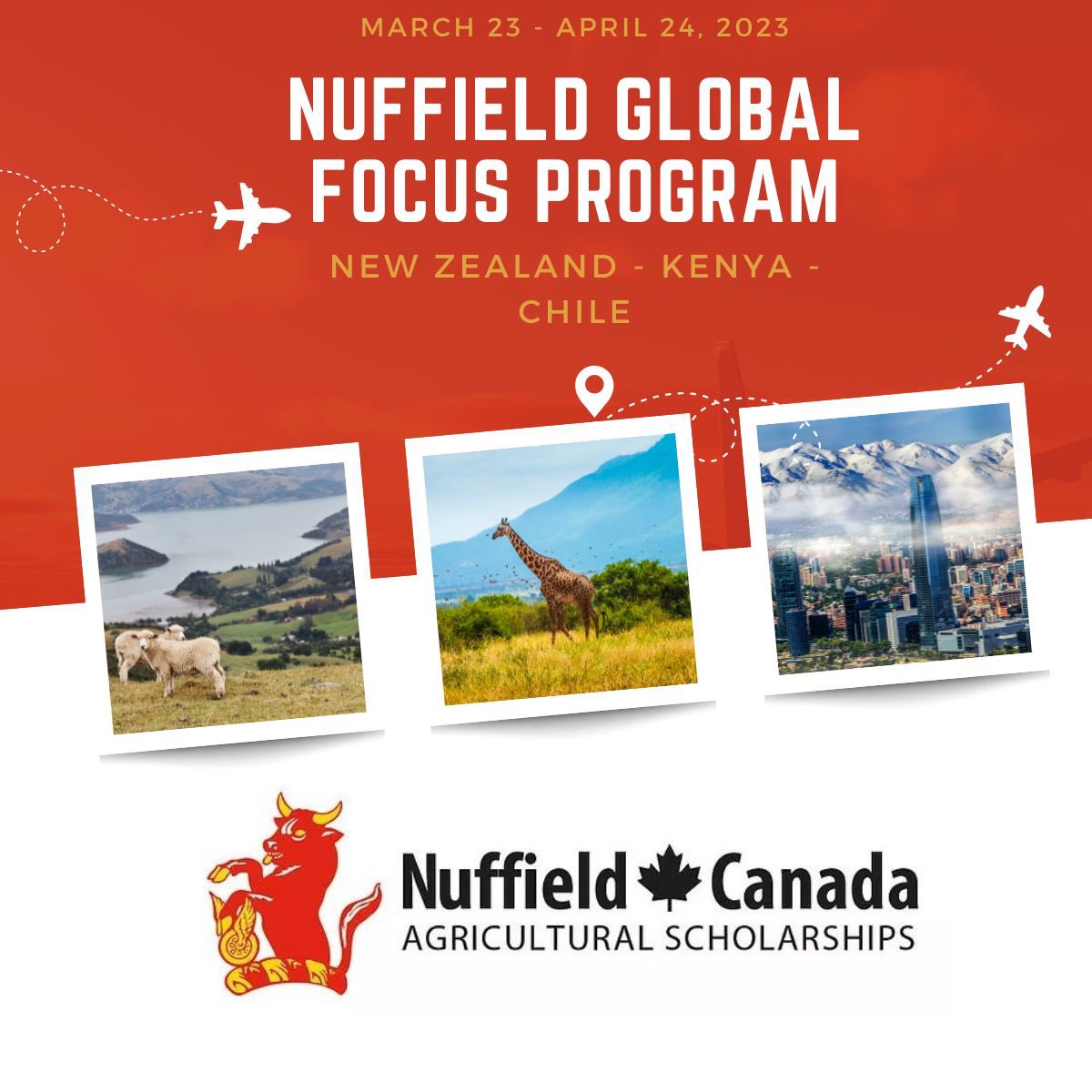 Mark Phillips tweet media