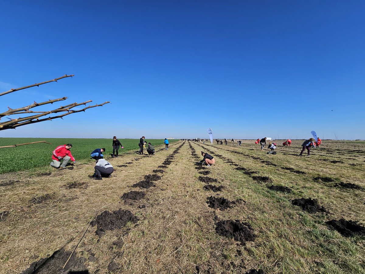 Joe Dunleavy tweet media