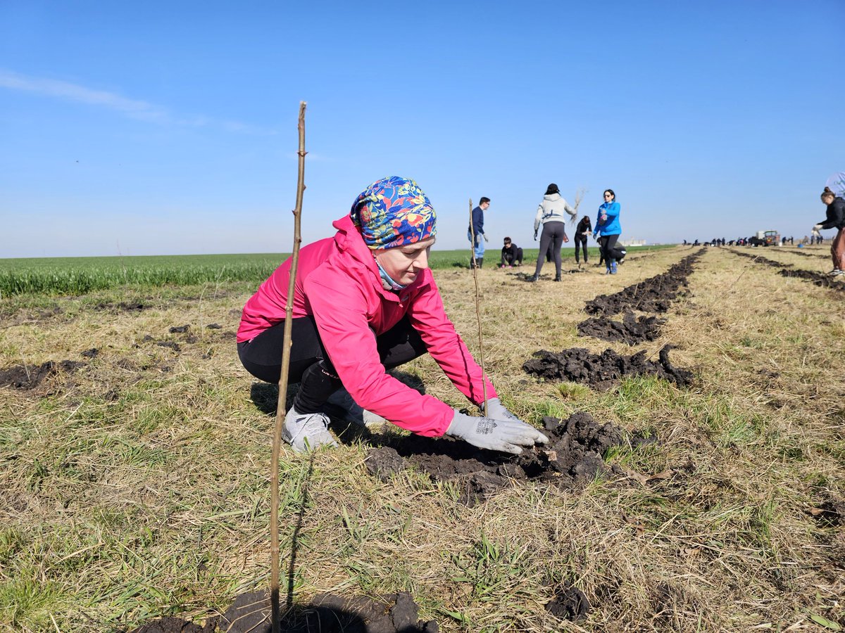 Joe Dunleavy tweet media