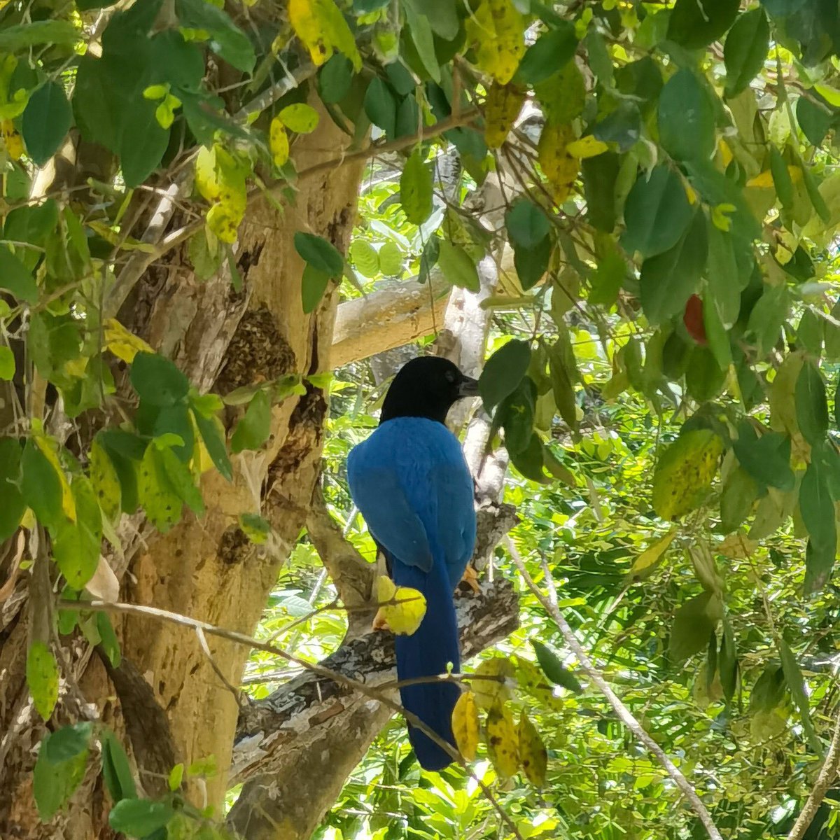 Ecopark Kantun Chi tweet media