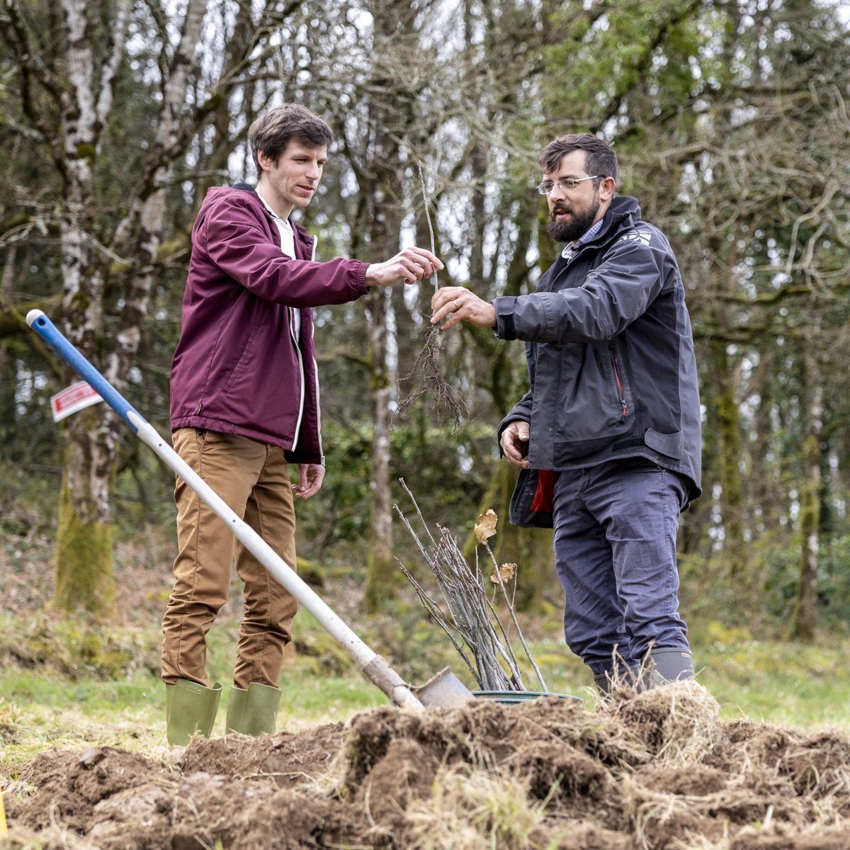 Yousignfr's tweet photo. Bonne journée internationale des forêts 🌳🐌🍃🦔🐿️🌲
Aujourd'hui, nous souhaitions re-partager avec vous notre visite dans la forêt de Berné avec @EcoTree_contact 💚
#EcoTree est une société certifiée B-corp qui a pour but d’entretenir et de soutenir les massifs forestiers et leur #biodiversité 🦌
Et pour tous les 10 nouveaux clients que nous obtenons, c’est un arbre qui est planté ! 🙌
Cet engagement nous permet de contribuer davantage au défi climatique et de rester fidèle aux valeurs que nous souhaitons partager 💪
#IntlForestDay #développementdurable #forêt #JIF2023