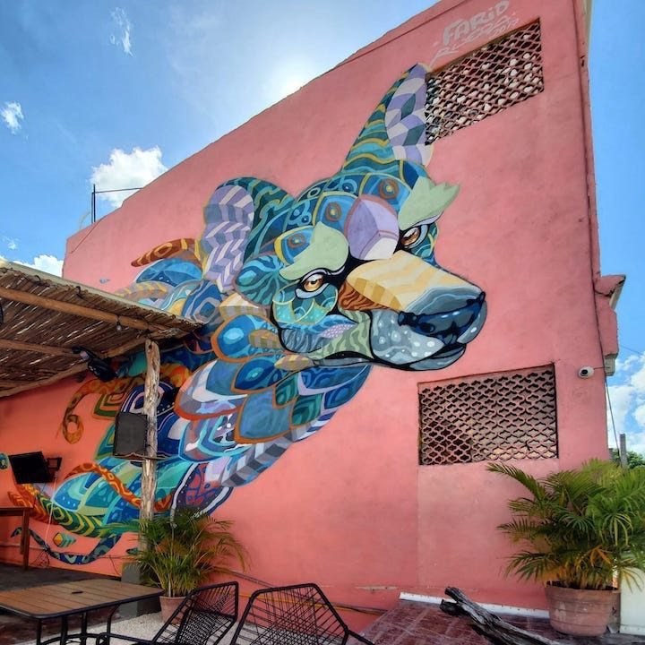 HulkuHotel's tweet photo. Las calles de Playa del Carmen se han llenado de color y arte, artistas locales y extranjeros plasman extraordinarios trabajos en los muros de la ciudad. ¡Toma una bicicleta y descúbrelos!
#PlayadelCarmen #DondeIr #Viajeros #WheretoGo #Travellers #RivieraMaya #HotelHulKú https://t.co/Ebobw3ZZZS