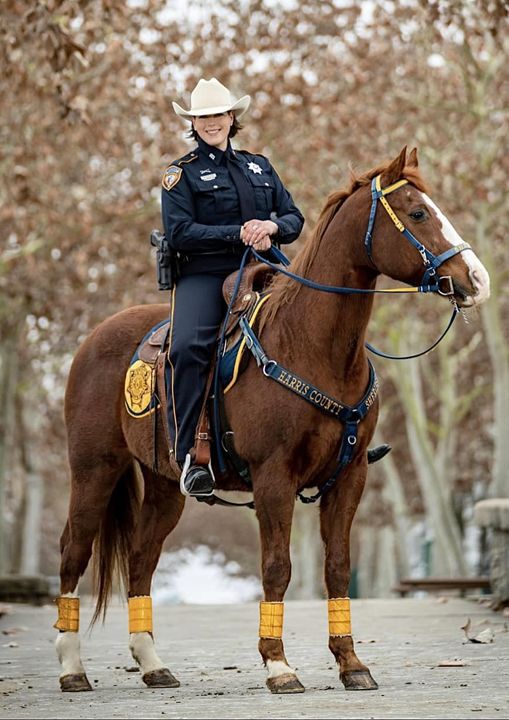 HCSO Mounted Patrol Unit on Twitter "Jameson is a 21yearold quarter