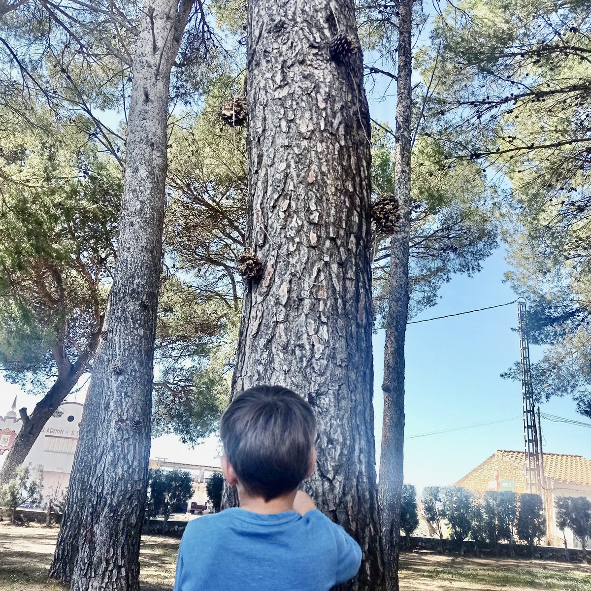 La Niuada tweet media