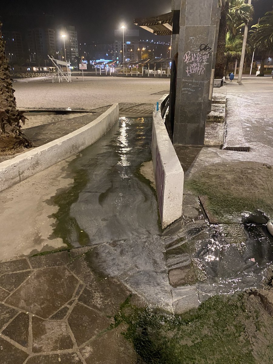 NerioM's tweet photo. Arena que se dejó ahí, para intentar detener que las aguas servidas lleguen a la playa, ya está verde. El olor no se puede plasmar en la foto. ¿La perla brilla o no Sr. Alcalde @jonathanplan9? ¿Qué dice @SeremiSalud2? INSALUBRE por donde se le mire #Antofagasta https://t.co/naojlh5VWO