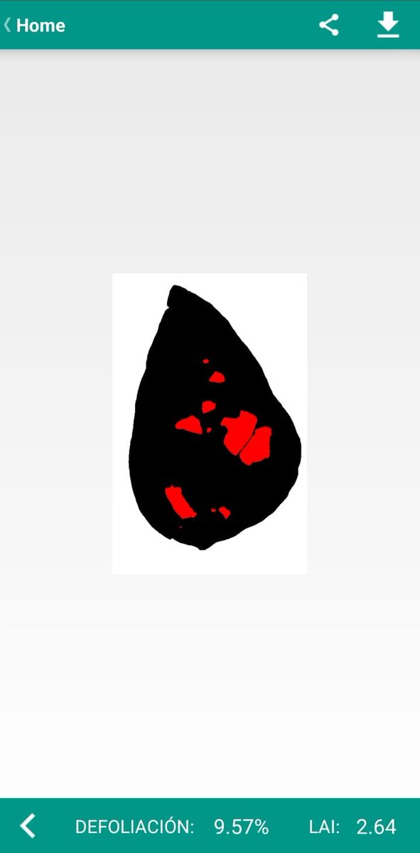 Comparto 2 aplicaciones gratuitas que utilizo mucho a campo👇

1) BioLeaf: Permite calcular defoliación (%) de manera muy simple.

App. desarrollada por la Universidad Federal de Mato Grosso do Sul en colaboración con la Universidad Dom Bosco Católica