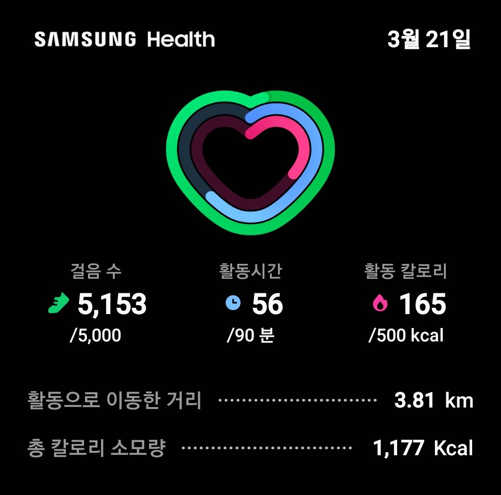 또바기개나리 tweet media