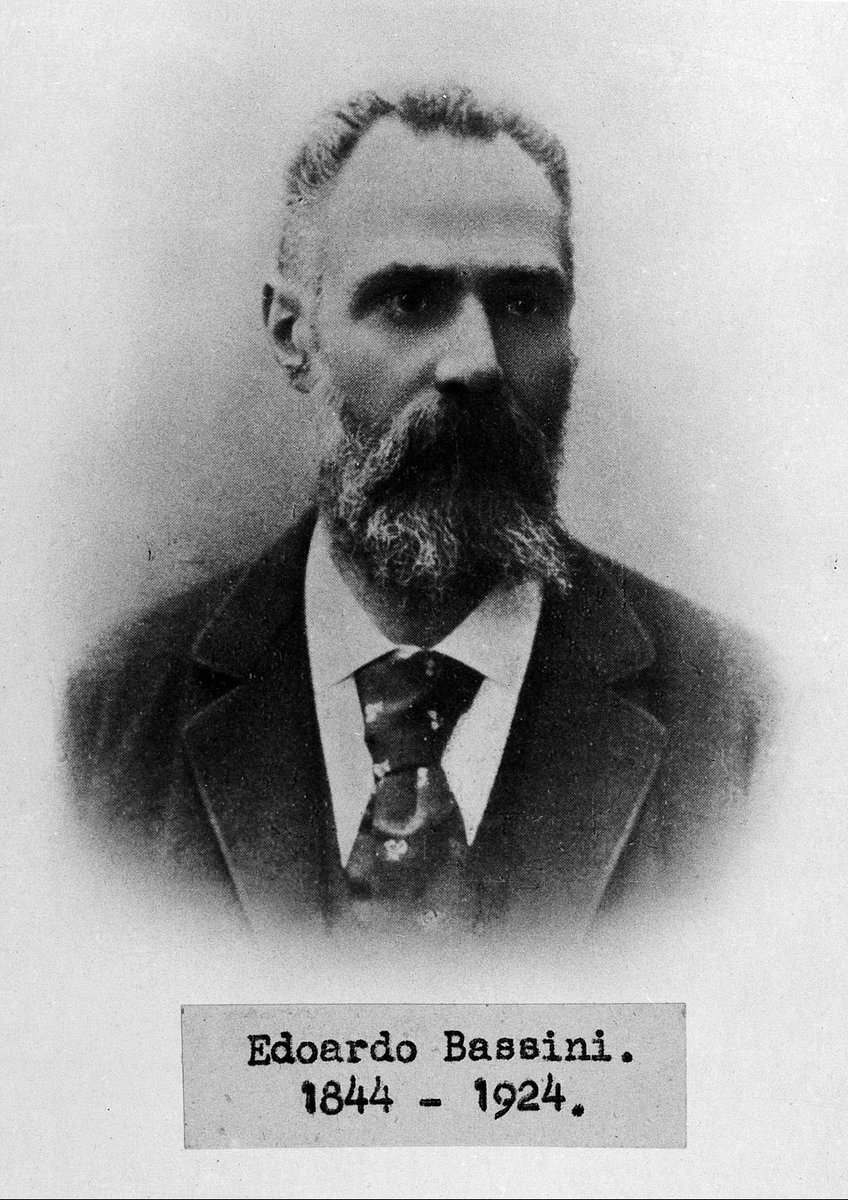 Medicine's Bizarre History tweet media