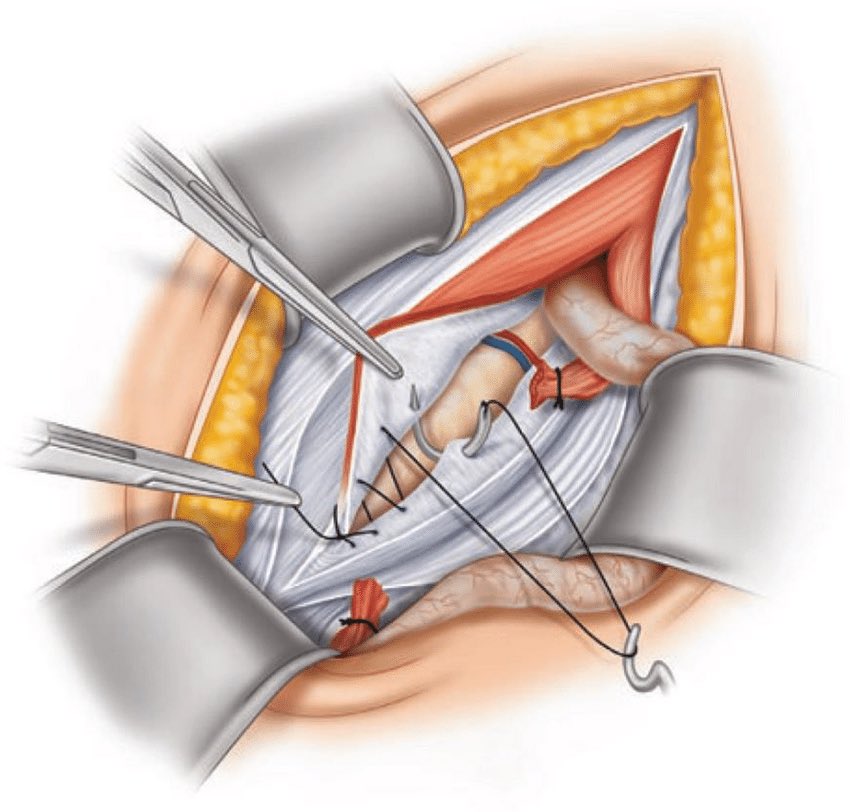 Medicine's Bizarre History tweet media