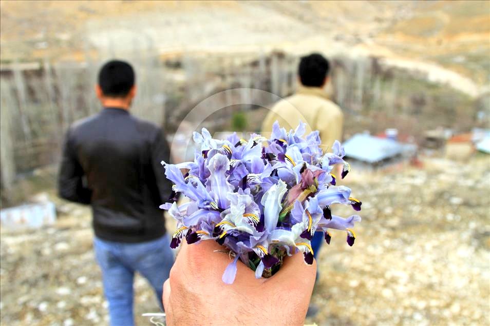 zkarahanuslu's tweet photo. Türklerin, Kürtlerin, Balkan halklarının ve nicelerinin ortak kültürel mirası Nevruz kutlu, baharın gelişi gibi, birleşmenin de müjdecisi olsun🌸 #Nevruz #Newroz #Novrız #Nawrız #Nouruz #Navrez https://t.co/87Cq5qnHpy