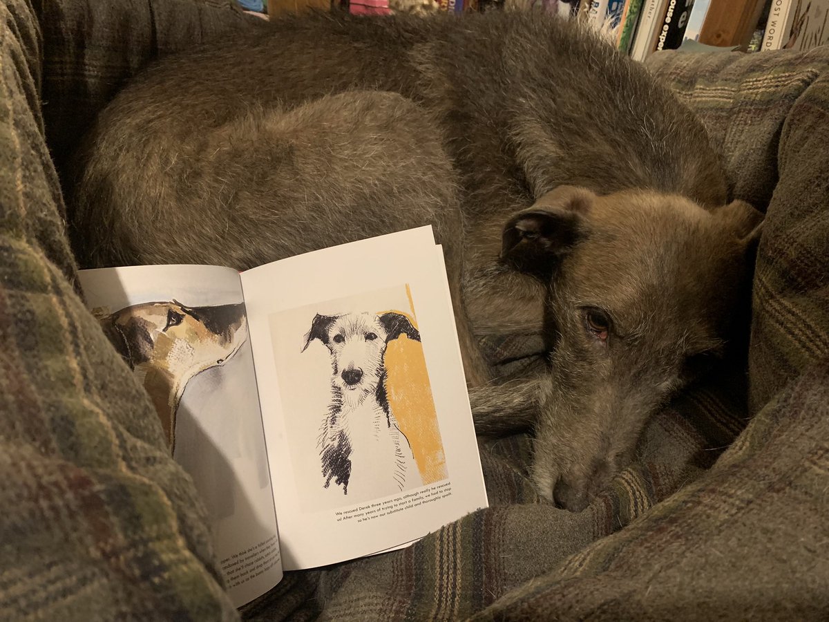 TinofCarrots's tweet photo. @ruskin147 My boy is in that book 🥰 https://t.co/eOTgwHMV7u