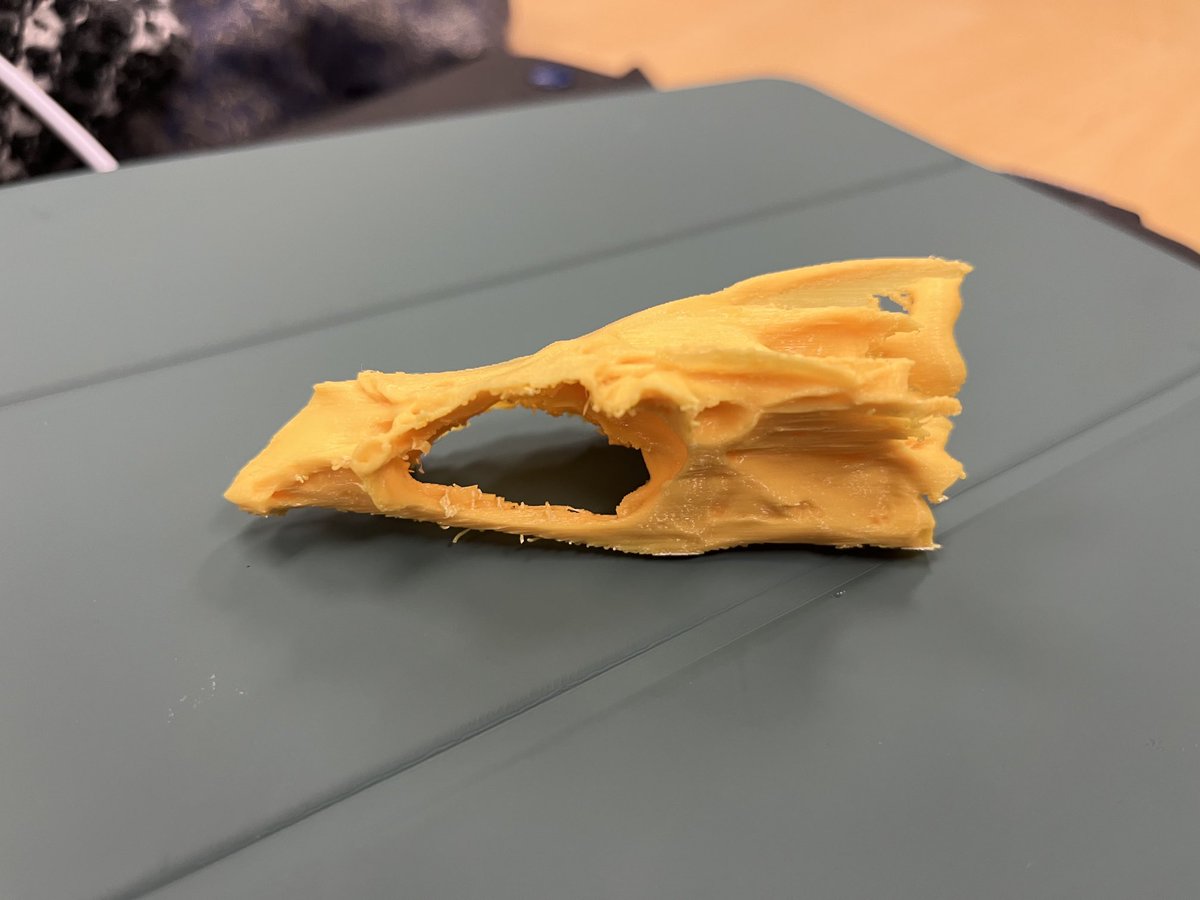 Y’all fish are water dragons.