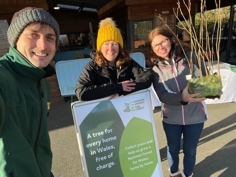 For International Day of Forests, read how @FollyFarmWales is turning Wales into a haven for woodland wildlife 🌲🦋 👉biaza.org.uk/news/detail/bl… #InternationalForestDay