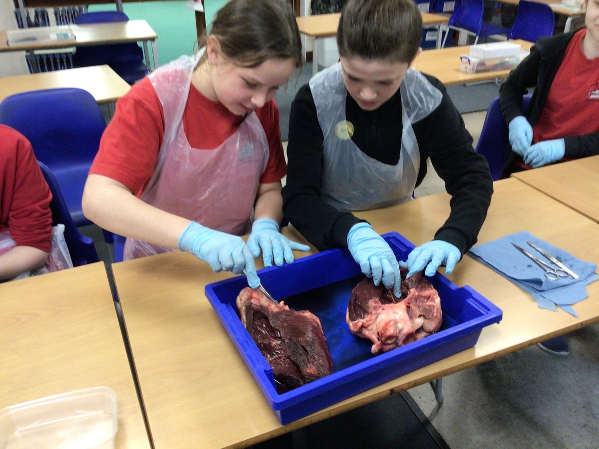 Science @ The Deanes tweet media