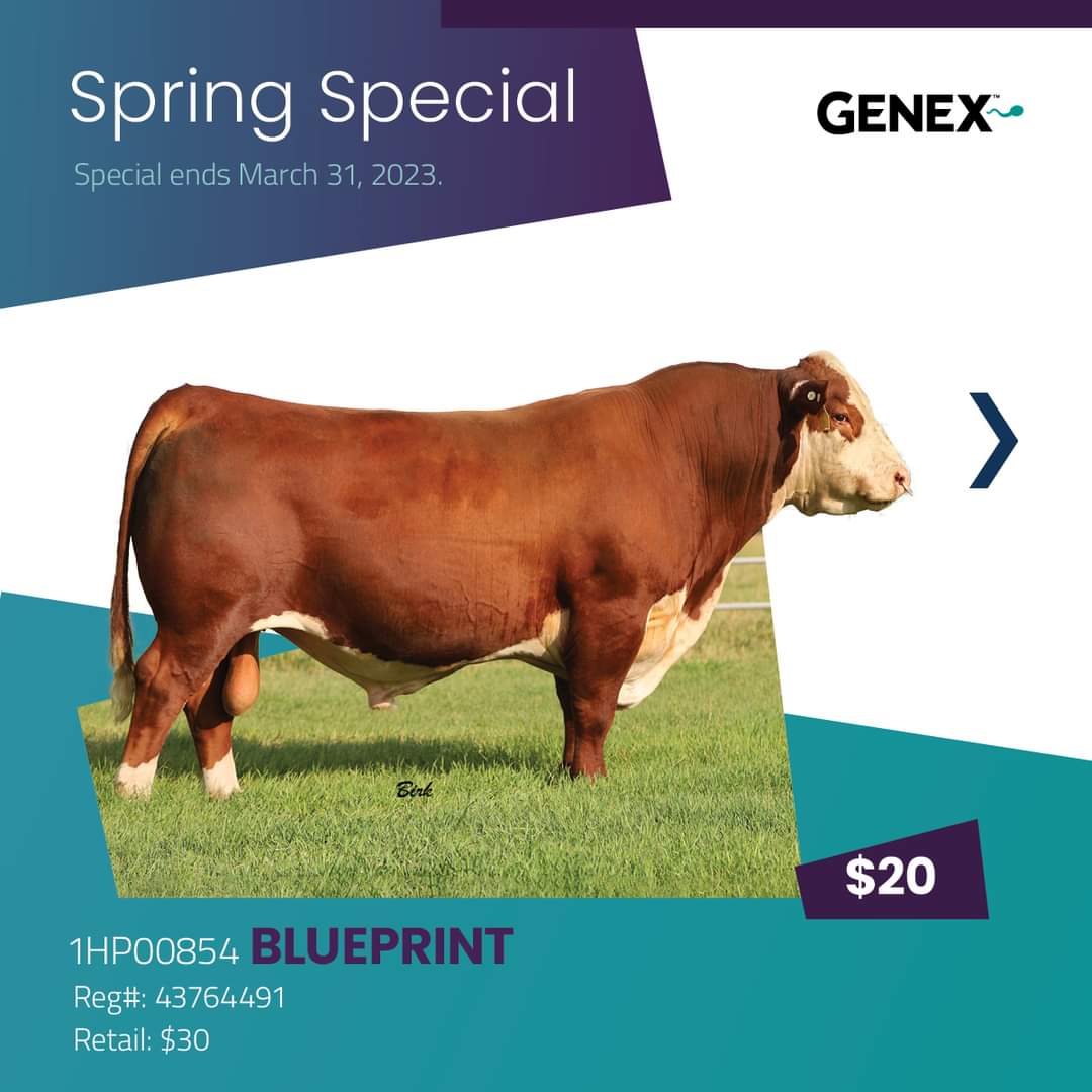 Genex Canada Beef tweet media