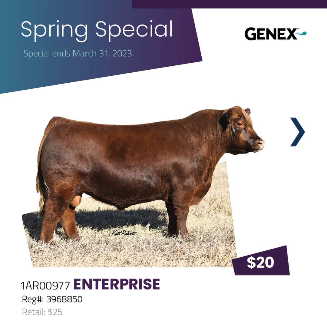 Genex Canada Beef tweet media