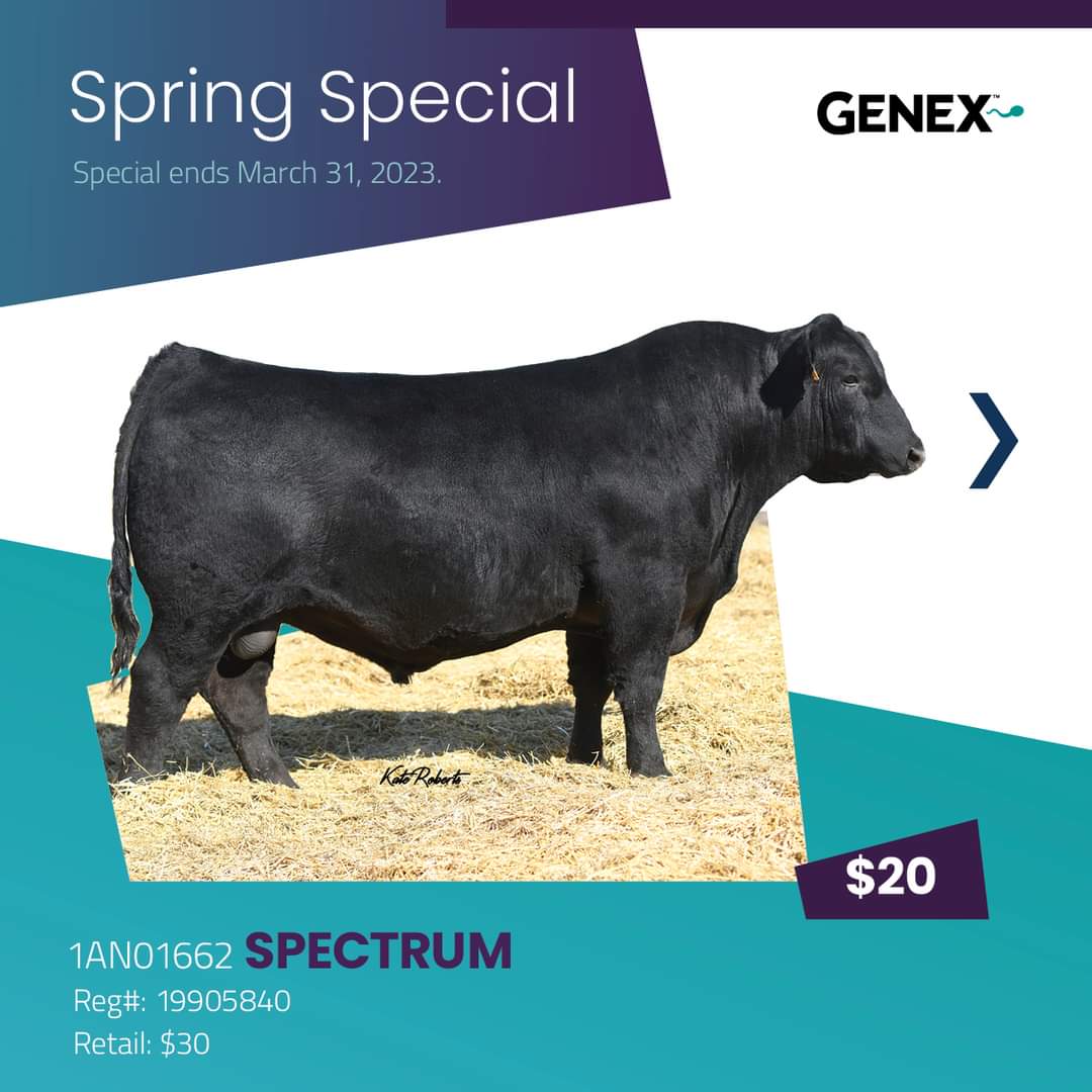 Genex Canada Beef tweet media