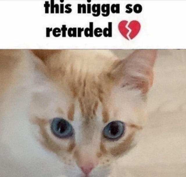 𝓿𝓮𝓫𝓲 tweet media