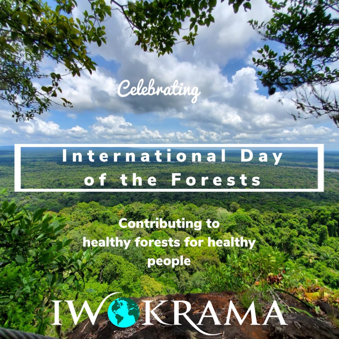 Helping to take care of our forest 🌳 💚 🇬🇾 #iwokrama