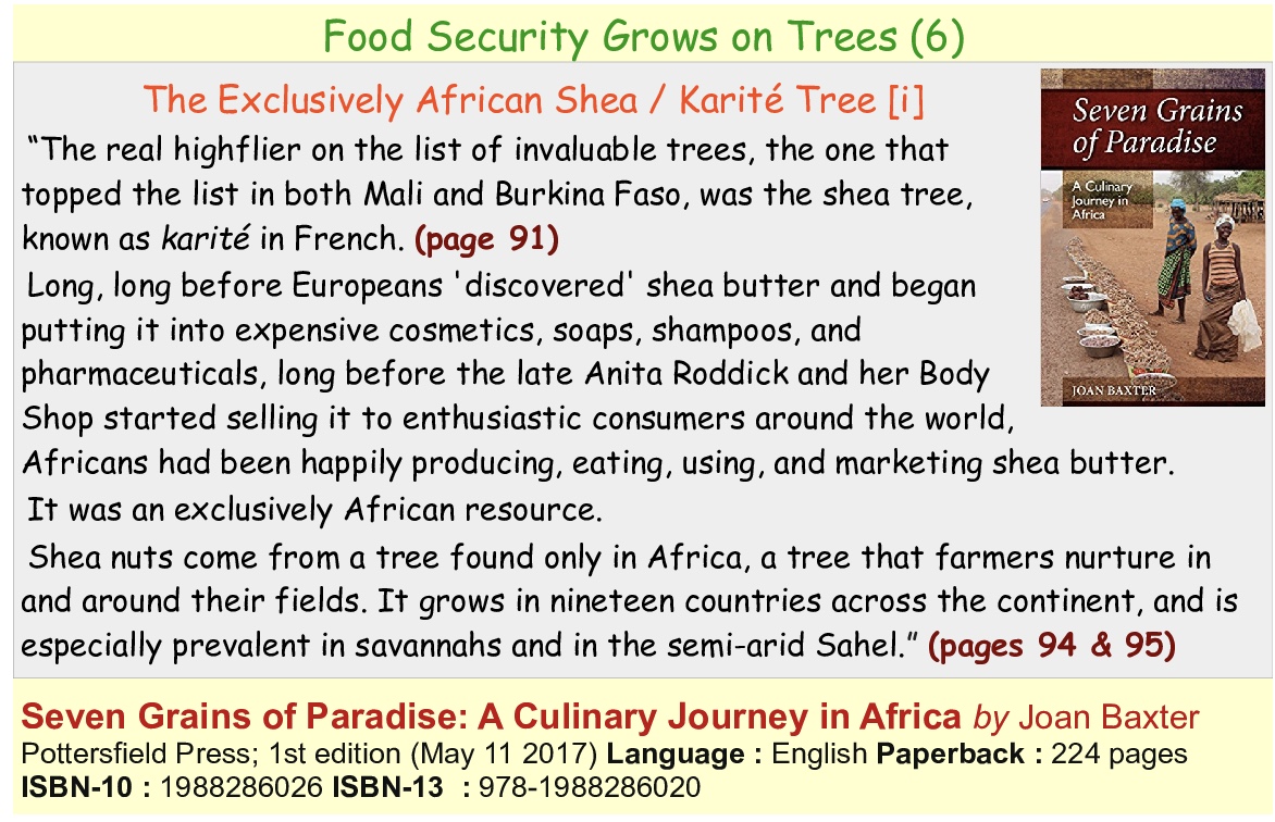AfricaInstitut2's tweet photo. @EndEcocideGhana @EcocideLaw @mlnrgovgh @SYNDGhana @maud_fugar @Citi973 @ForestWatchGh @moigovgh @FAOAfrica @EuropeInGhana @joan_baxter Massive thanks🙏🏼to🇨🇦@joan_baxter🪶✍️📚🎤📻for her 30 years of living  in🇳🇪🇨🇲🇧🇫🇬🇭🇰🇪🇲🇱🇸🇱🌍and listening💬👂(respectfully) to her hosts🌻
Very much appreciated🙏🏼🌻🍁 https://t.co/IRElhoCFE2