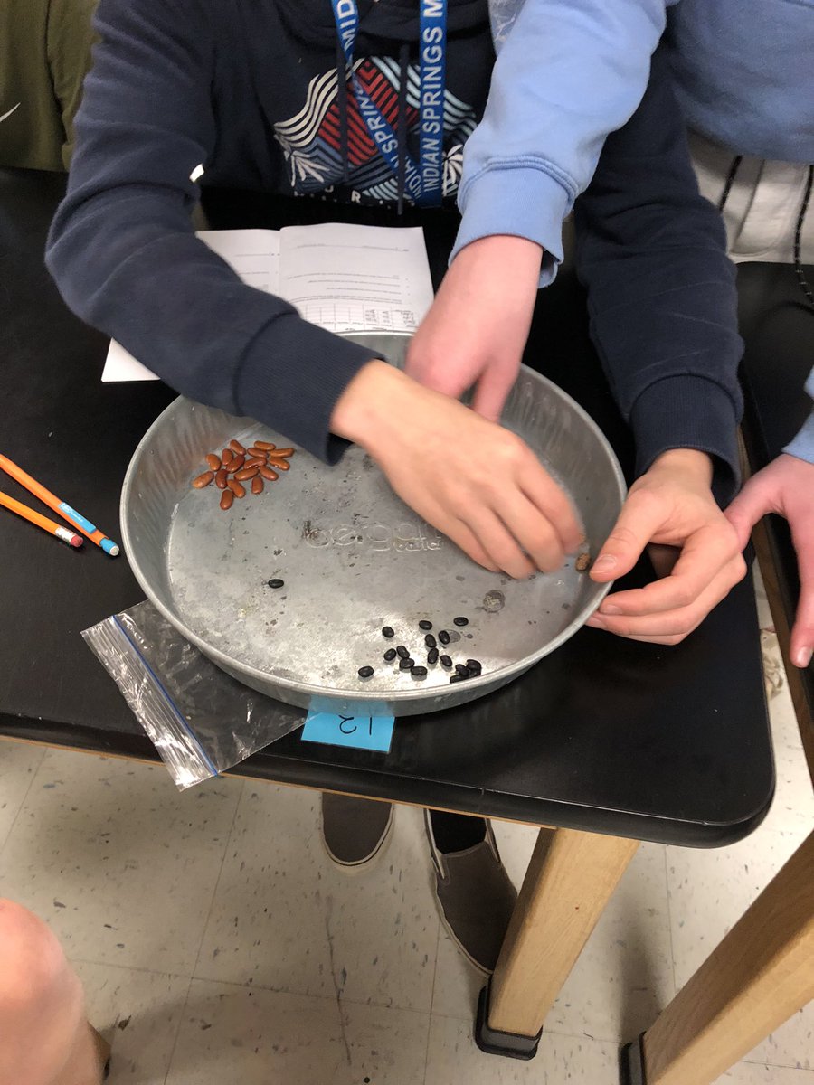 Diana Mitchell tweet media