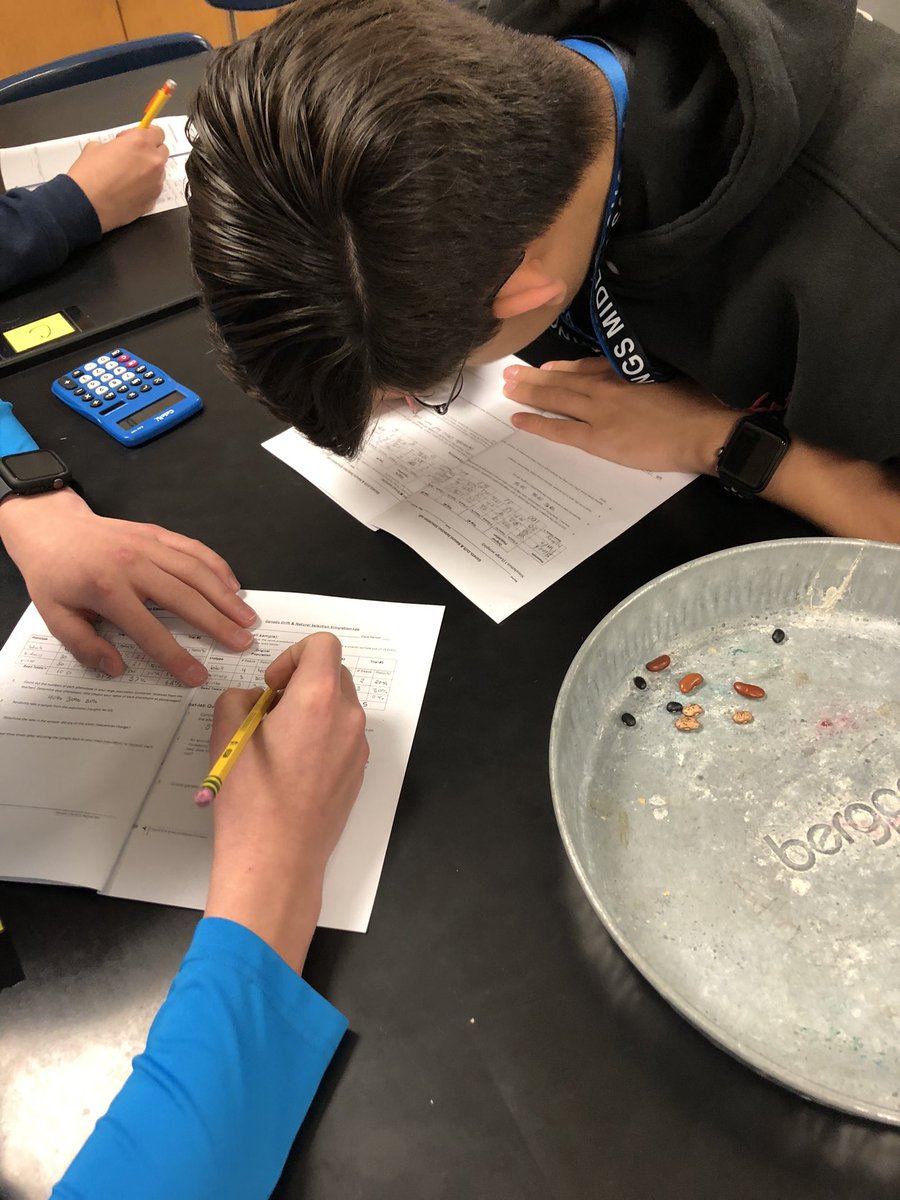 Diana Mitchell tweet media