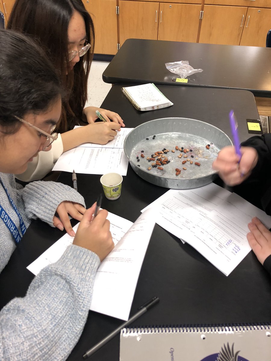 Diana Mitchell tweet media