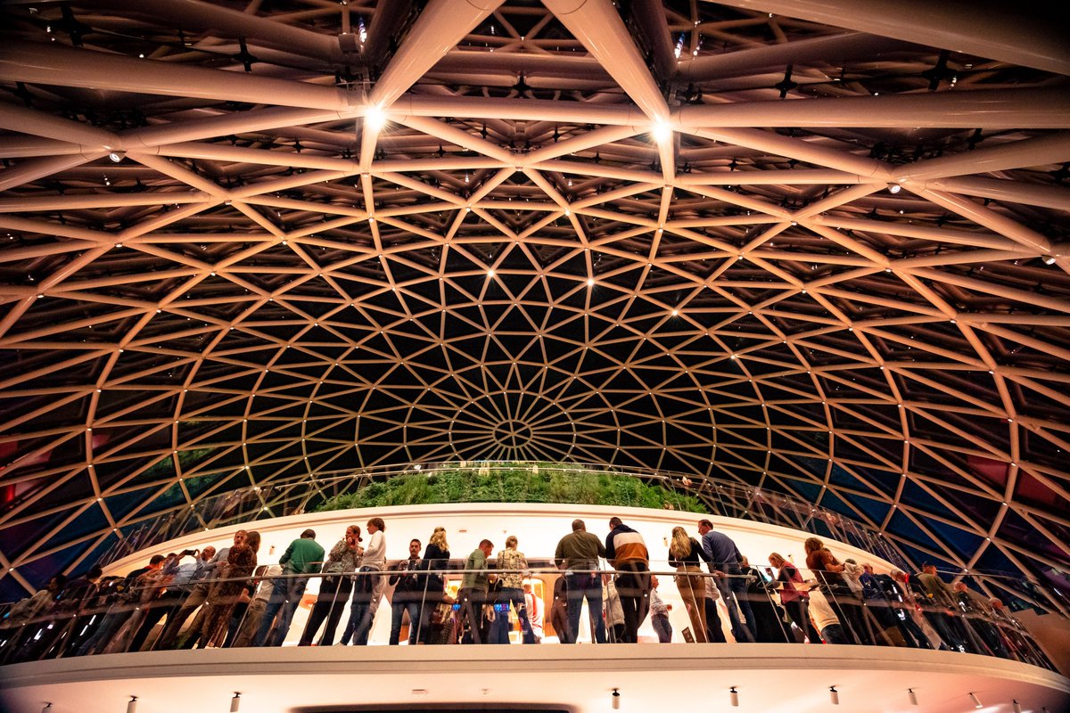 14 de musical tweet media