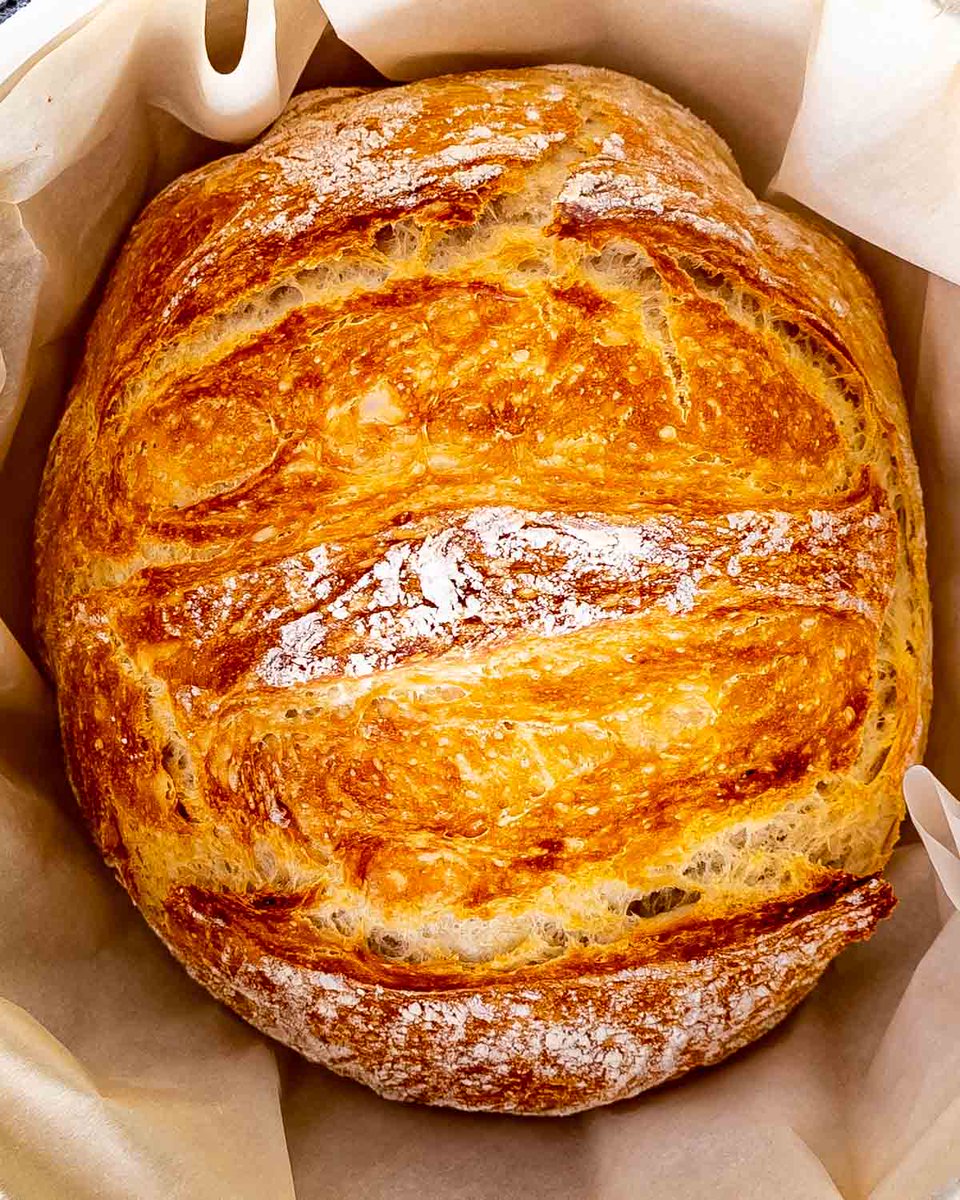 BreadBoySmile's tweet photo. Hope everyone had a good day! -💫
#bread #breadboy #iamstuckinabakery https://t.co/RVVIubZx0P