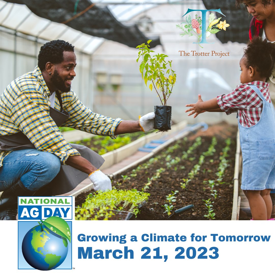 The Trotter Project tweet media